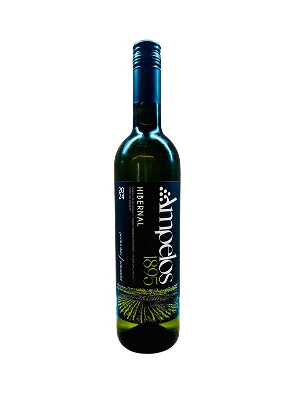 Hibernal 2024 pozdní sběr 0,75 l 13% obj.